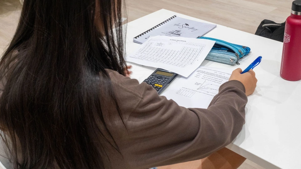 Student doing practice questions